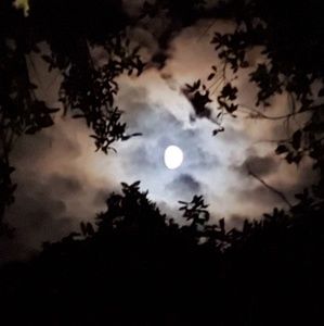 Meet your Posher, Rubye